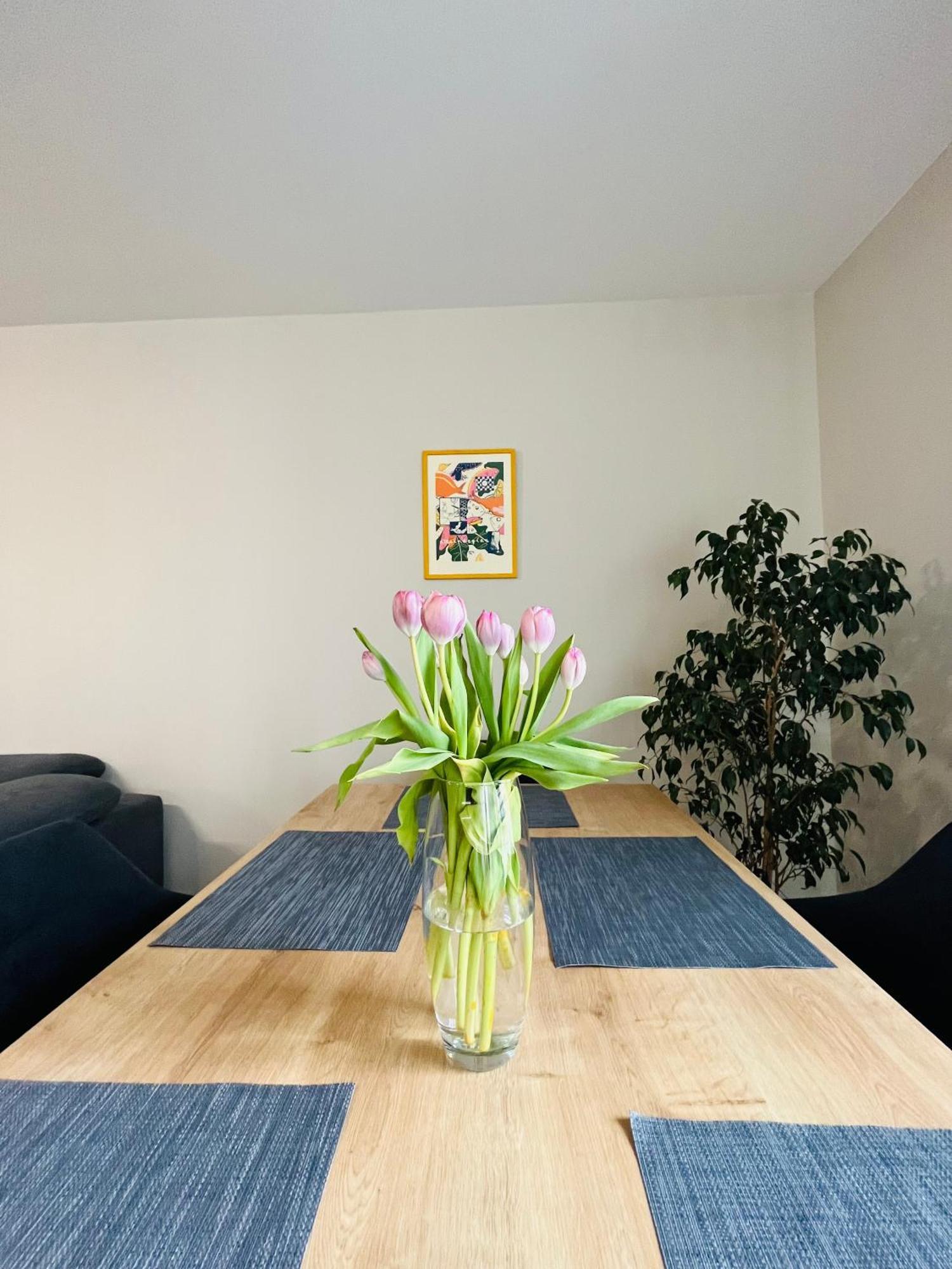 Freesia With Underground Parking Apartment Sofia
